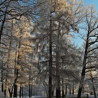 Александровский парк
