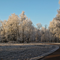 Александровский парк