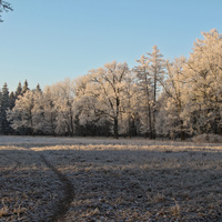 Александровский парк