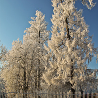 Александровский парк