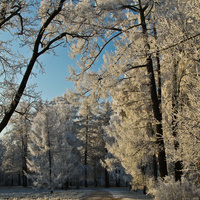 Александровский парк
