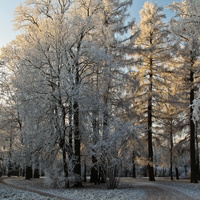 Александровский парк