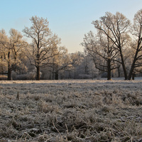 Александровский парк