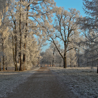 Александровский парк