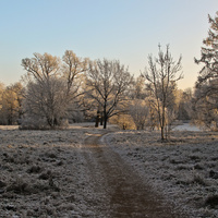 Александровский парк