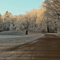 Александровский парк