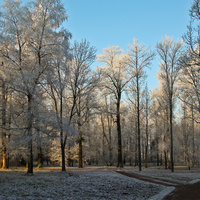 Александровский парк