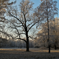 Александровский парк