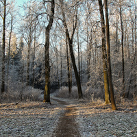 Александровский парк