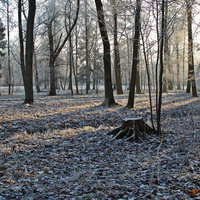 Александровский парк