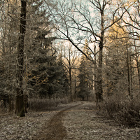 Александровский парк