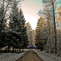 Александровский парк