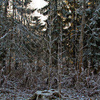 Александровский парк