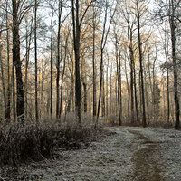 Александровский парк