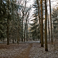 Александровский парк