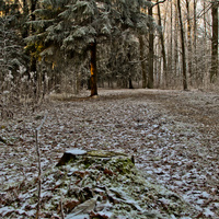 Александровский парк