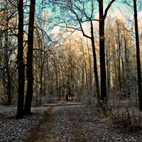 Александровский парк