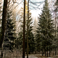 Александровский парк