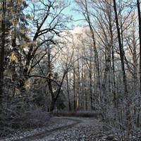 Александровский парк