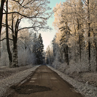 Александровский парк