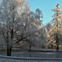 Фермский парк
