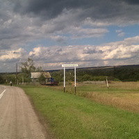 начало деревни Подьячевка