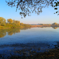 Войківський ставок