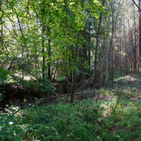 Территория бывших воинских частей