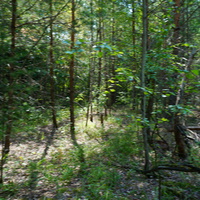 Территория бывших воинских частей