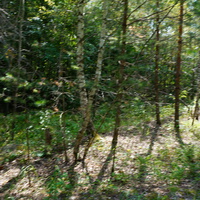 Территория бывших воинских частей