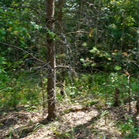 Территория бывших воинских частей