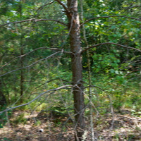 Территория бывших воинских частей