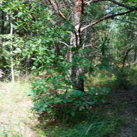 Территория бывших воинских частей