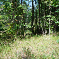 Территория бывших воинских частей