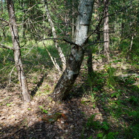 Территория бывших воинских частей