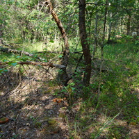 Территория бывших воинских частей