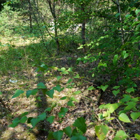 Территория бывших воинских частей