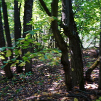 Территория бывших воинских частей