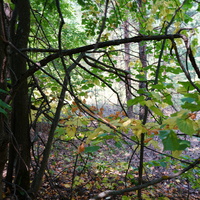 Территория бывших воинских частей