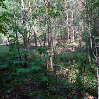 Территория бывших воинских частей