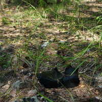 Территория бывших воинских частей