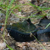 Территория бывших воинских частей