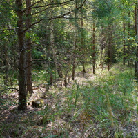 Территория бывших воинских частей