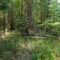 Территория бывших воинских частей