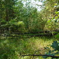 Территория бывших воинских частей