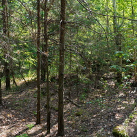 Территория бывших воинских частей