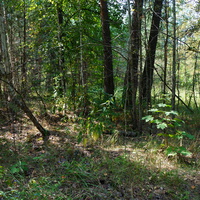 Территория бывших воинских частей