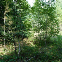 Территория бывших воинских частей