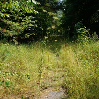 Территория бывших воинских частей