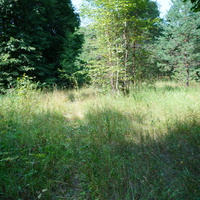 Территория бывших воинских частей